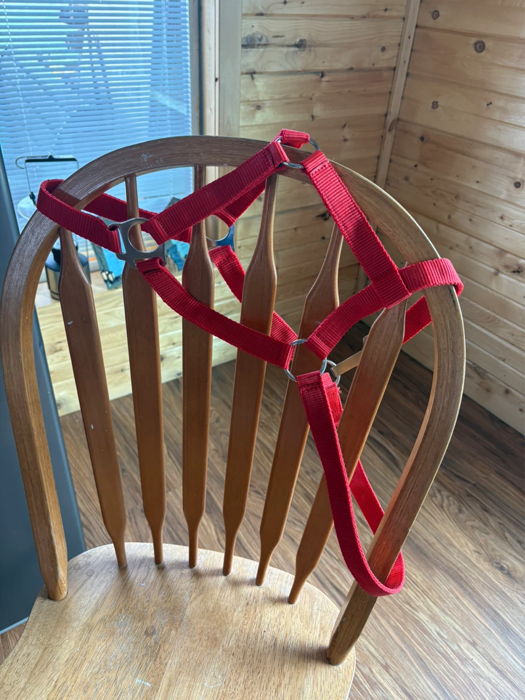 Red Adjustable Horse Halter