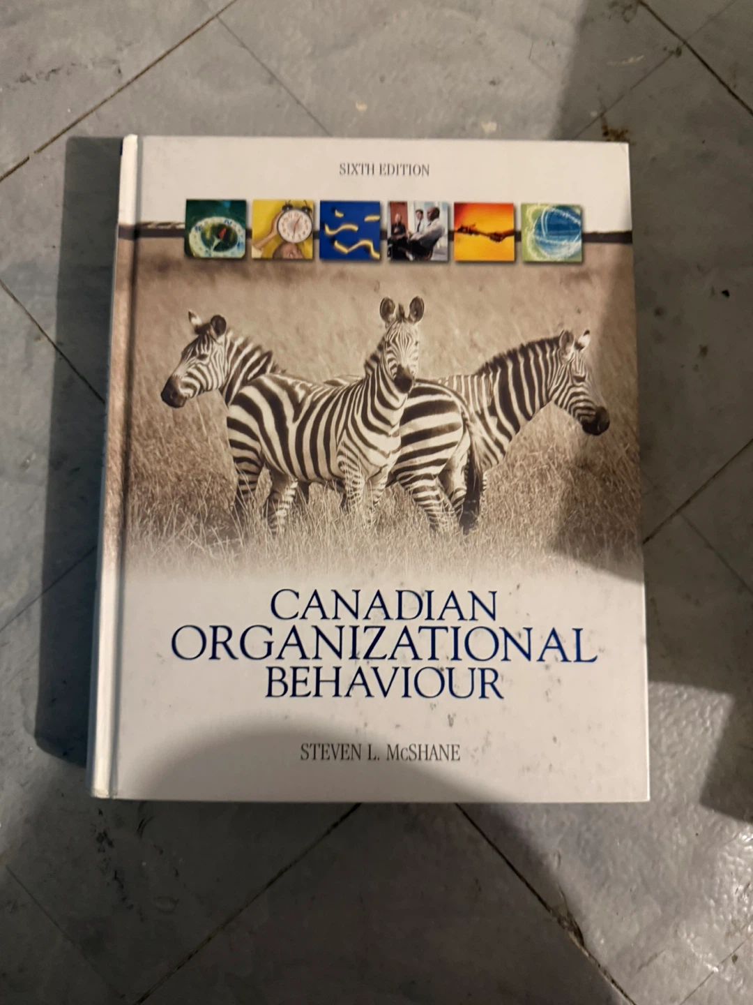 Canadian Organizational Behaviour Sixth Edition Textbook
