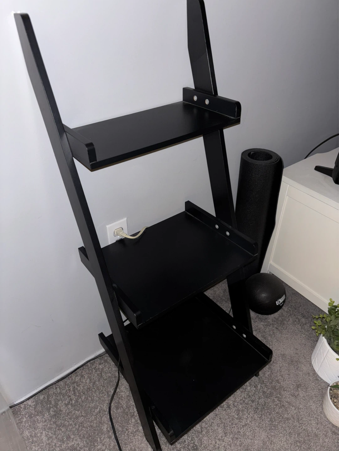 3 tier ladder shelf