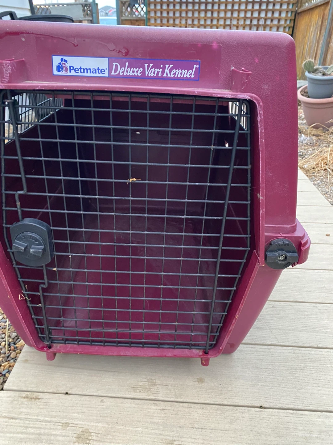 Large Petmate Deluxe Vari Kennel in Livingston NE