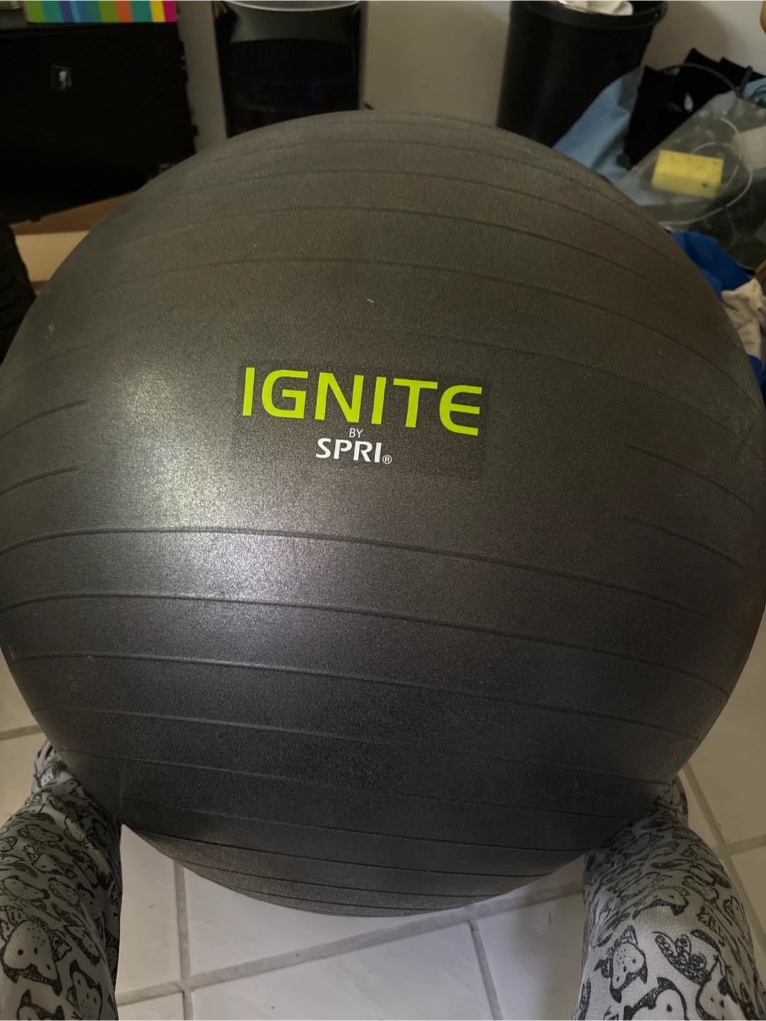 SPRI Ignite Exercise Ball