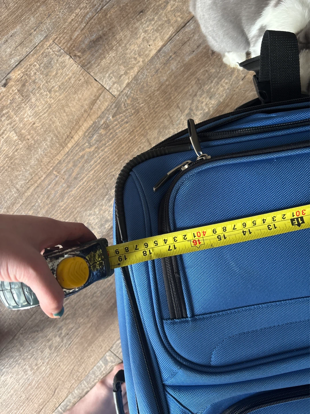 Tracker Blue Rolling Suitcase Luggage - photo 3