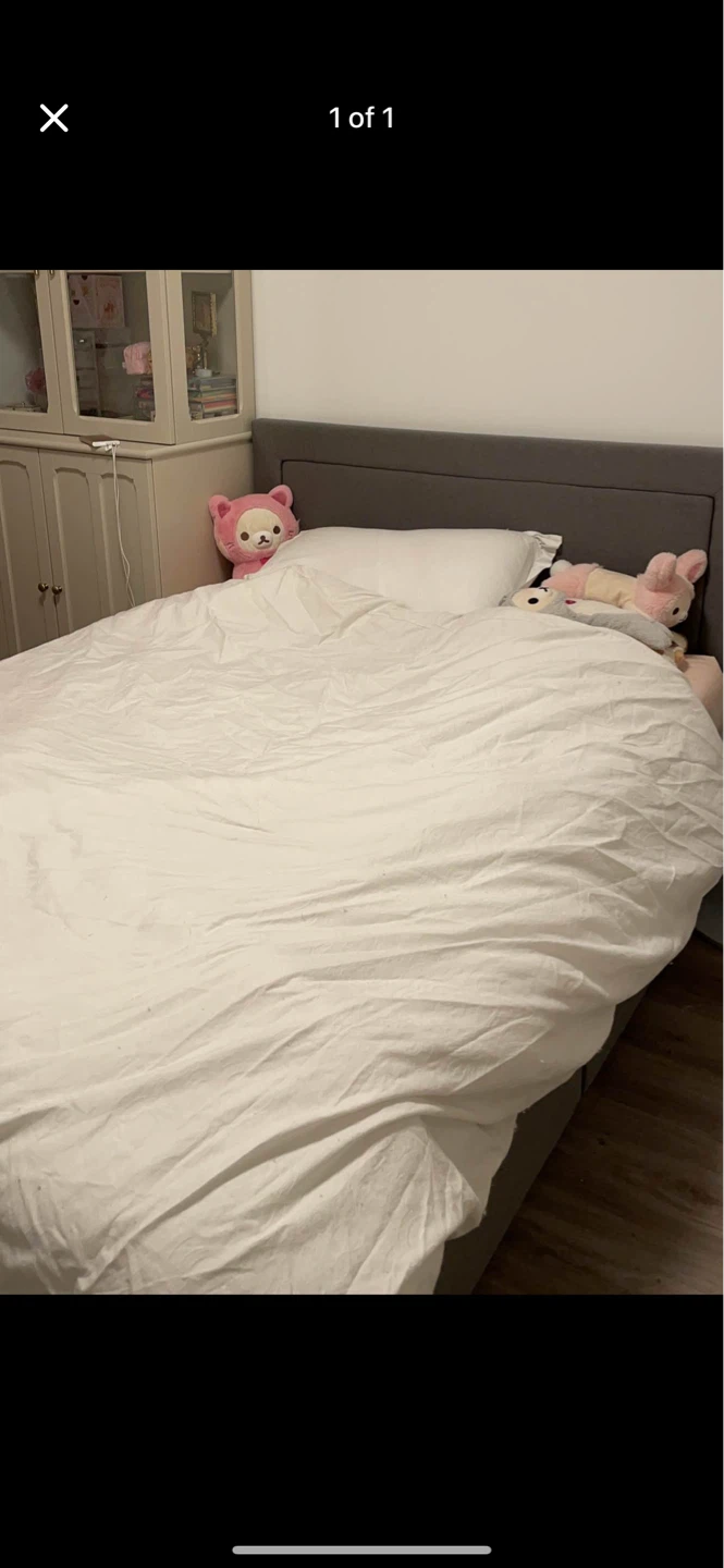 Zinus 10 inch spring mattress with bed frame