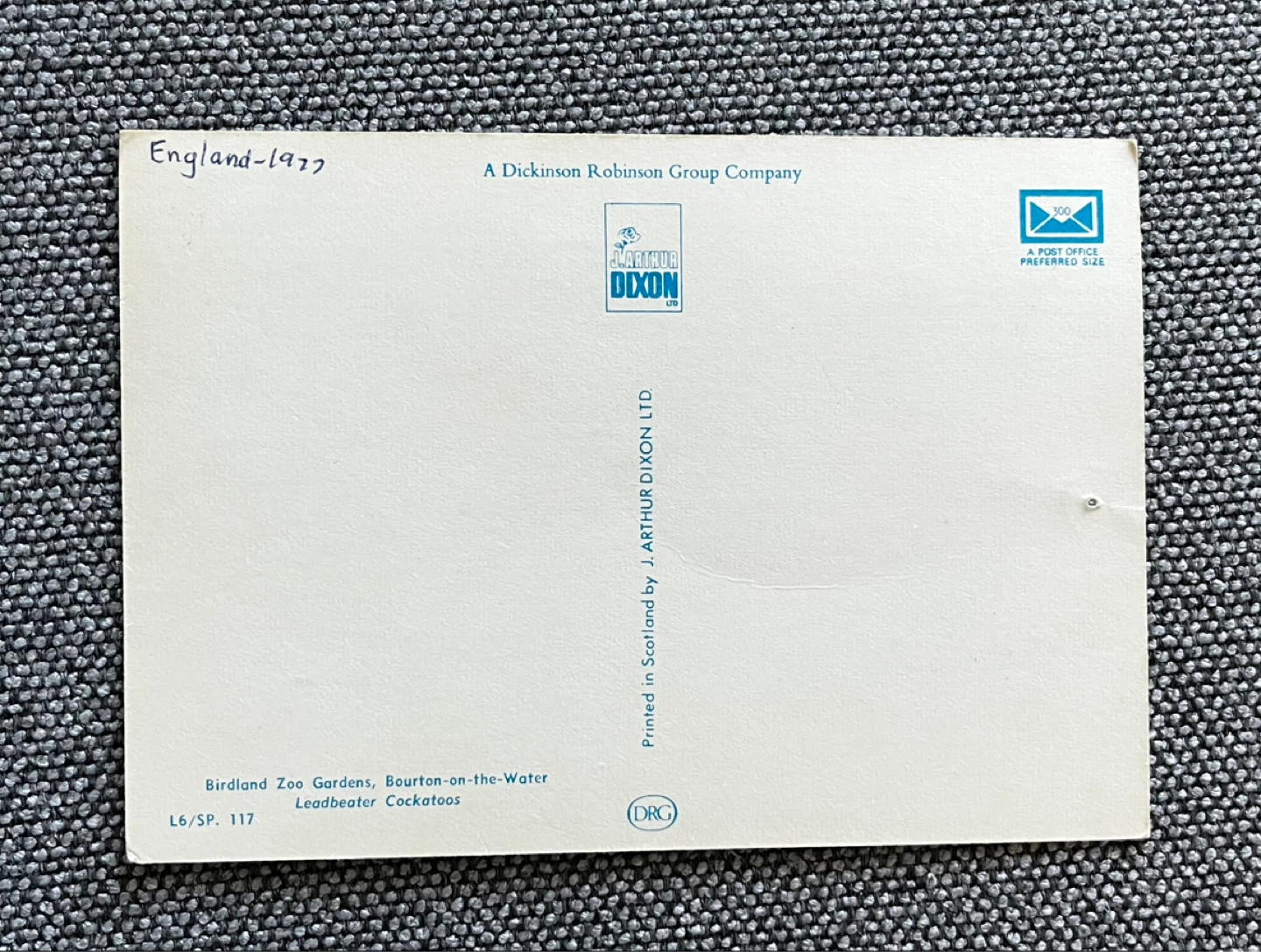 Leadbeater Cockatoos Postcard - photo 2