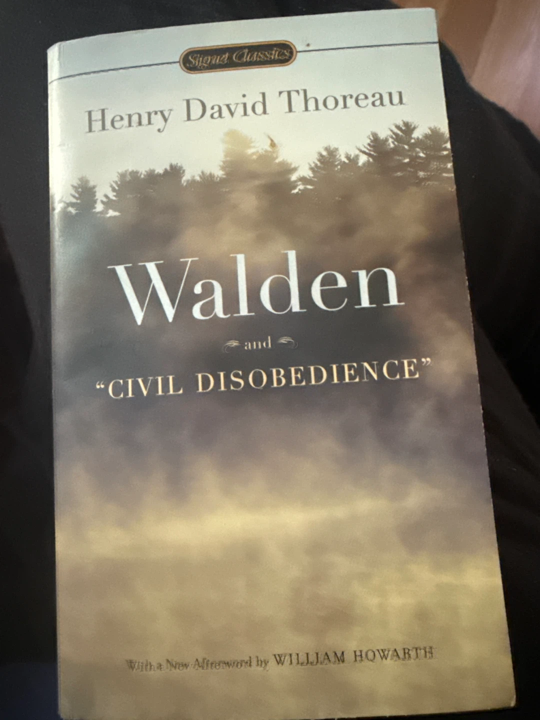 Walden and Civil Disobedience by Henry David Thoreau