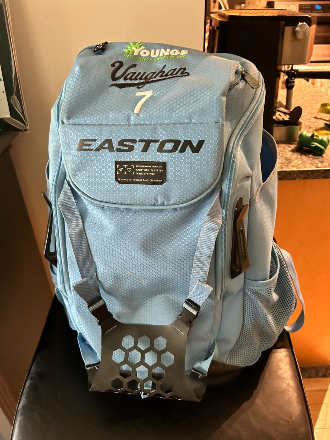 Easton Baseball Bat Bag