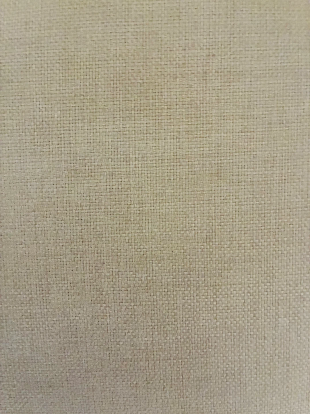 Light Beige Loveseat Sofa with Studded Trim - photo 3