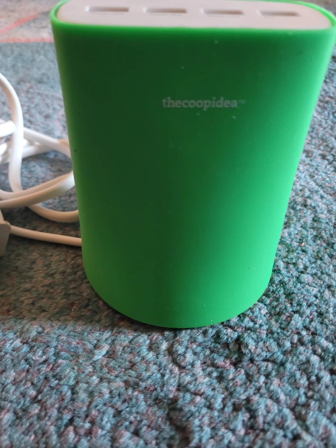 thecoopidea Green Multi-Port USB Wall Charger - photo 2