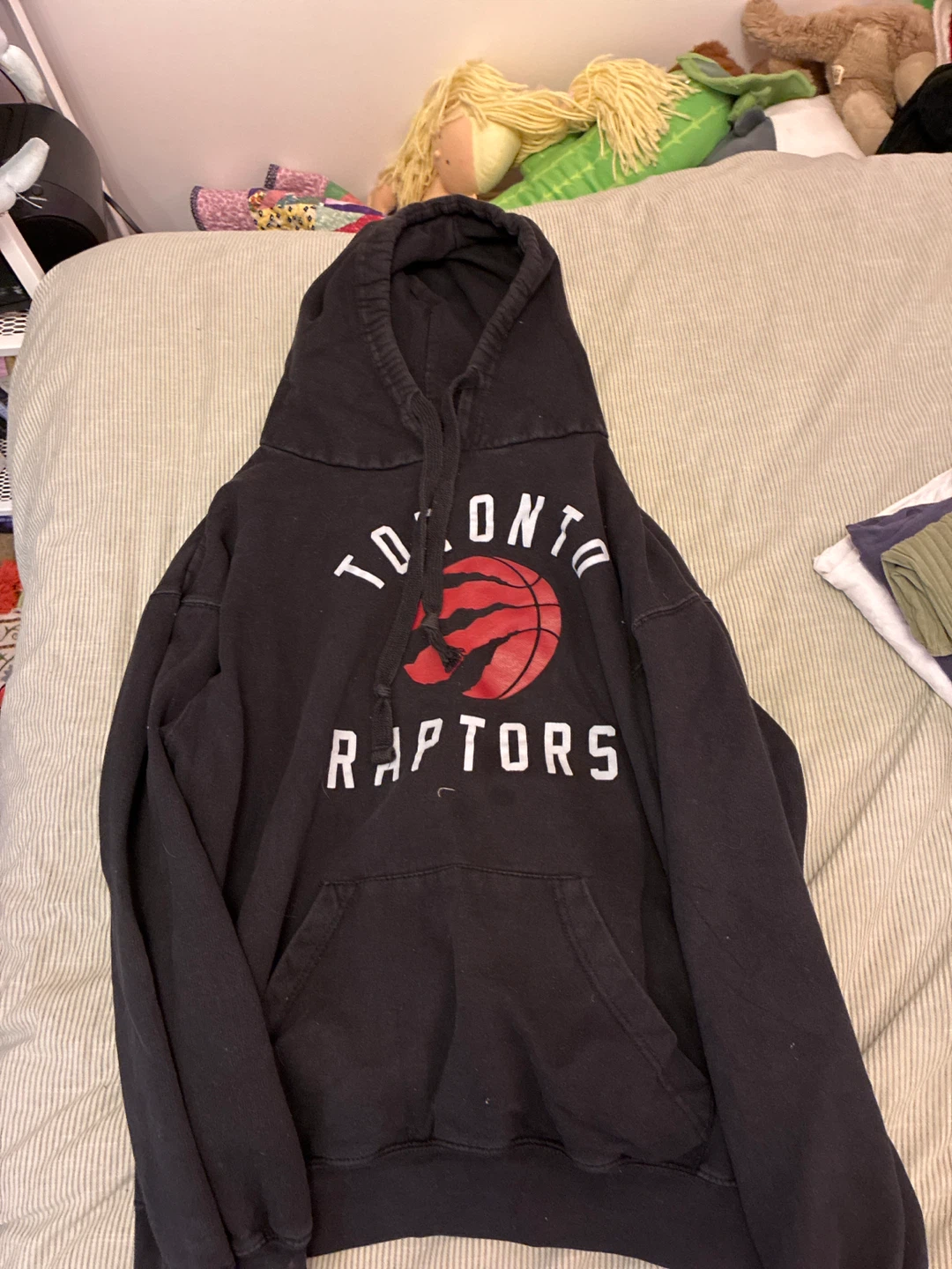 Toronto Raptors Hoodie
