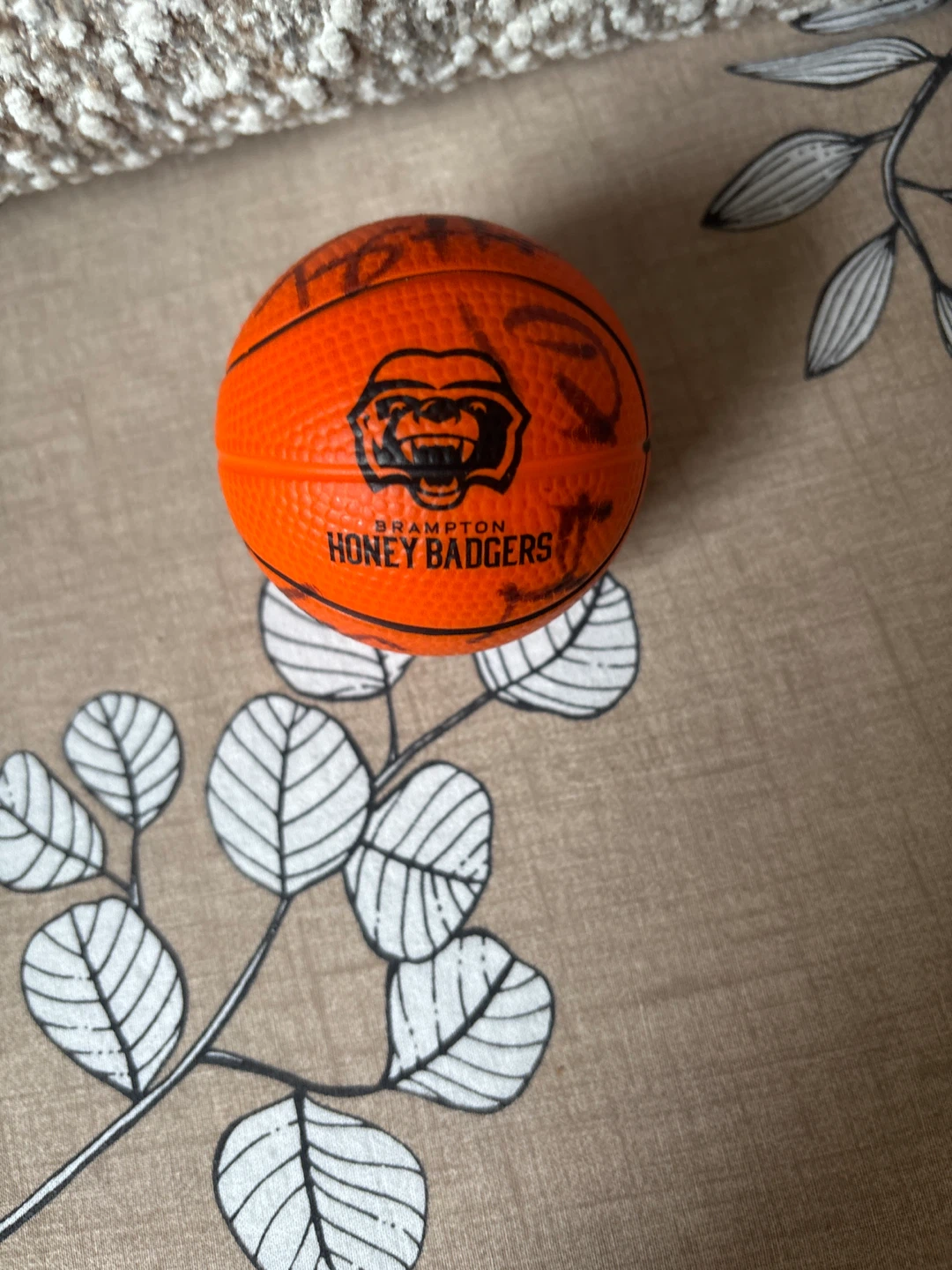 Brampton Honey Badgers Mini Basketball