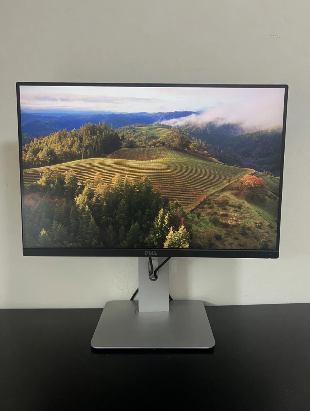 Negotiable - Dell UltraSharp 24" Monitor
