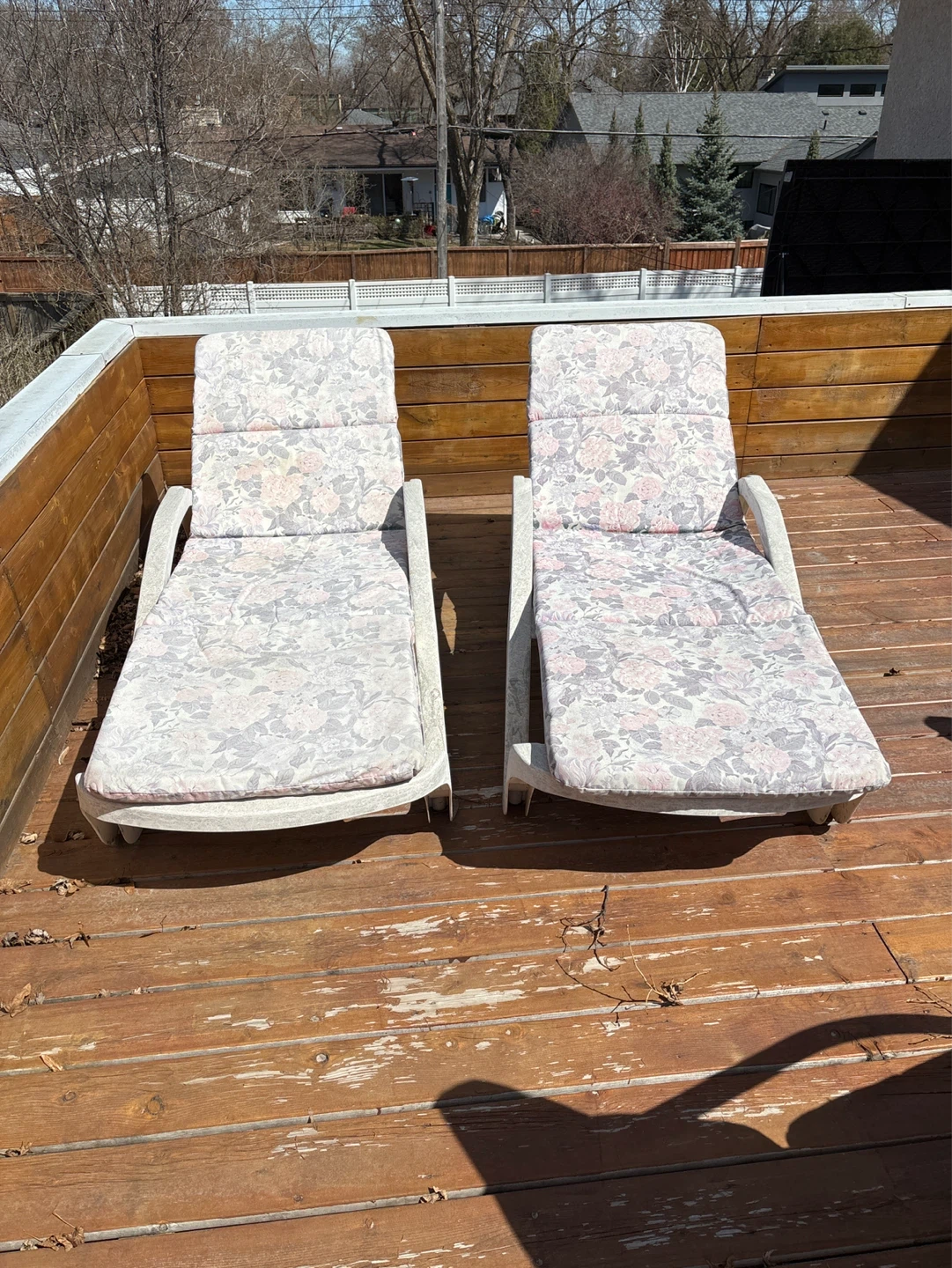 Pair of lounge chairs with cushions