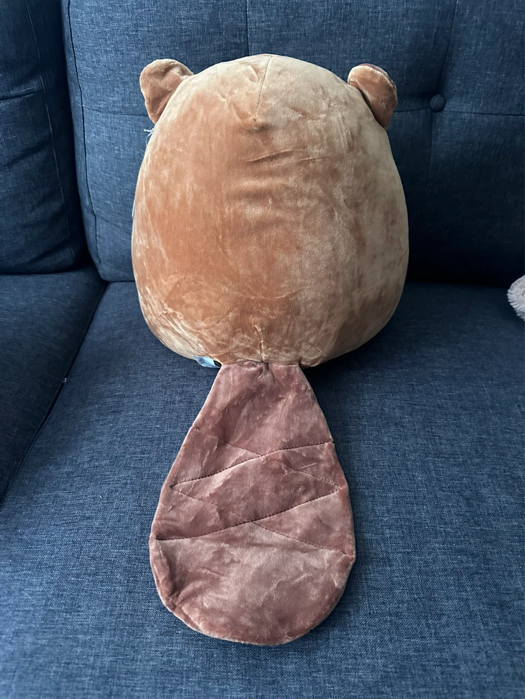 Squishmallows Chip the Beaver (with Glasses) LNWT, 14" - photo 2