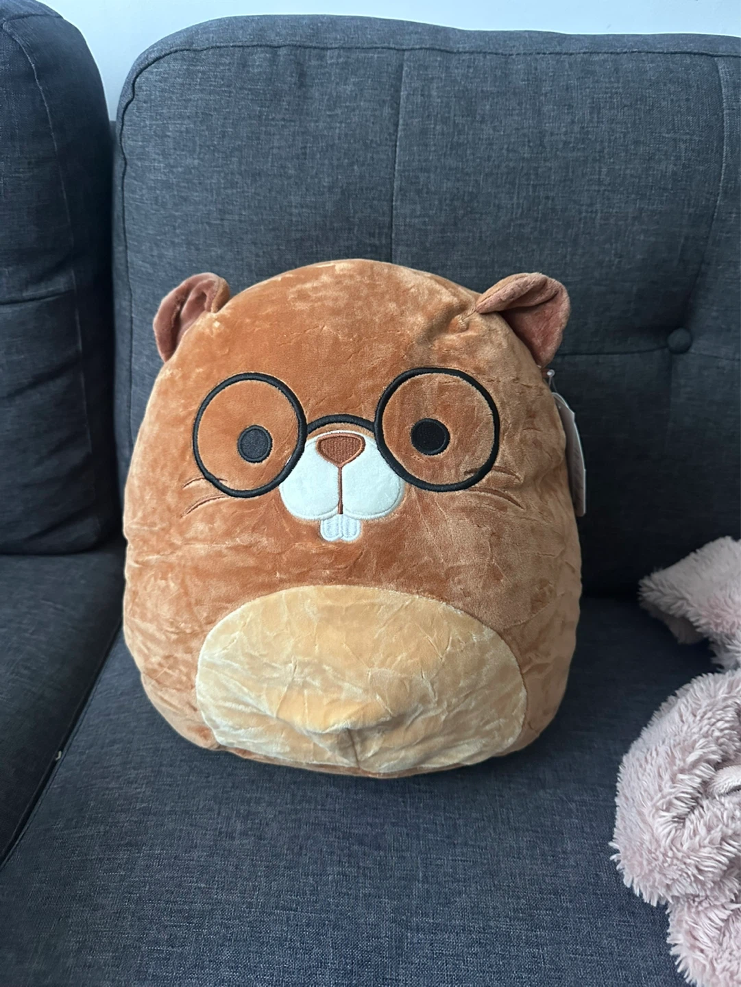 Squishmallows Chip the Beaver (with Glasses) LNWT, 14"