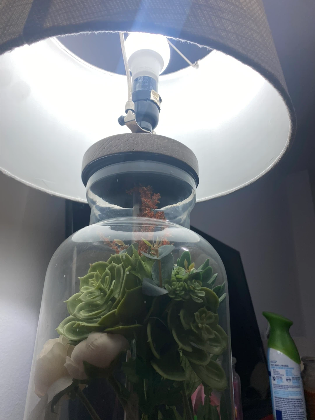 Terrarium Style Glass Jar Lamp - Floral & Succulent Decor - photo 4