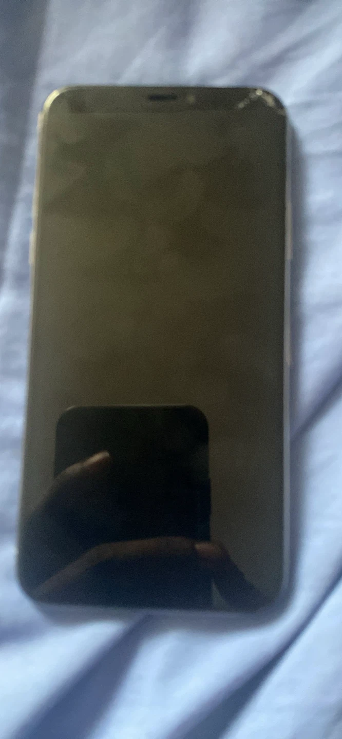 Apple iPhone X - photo 3