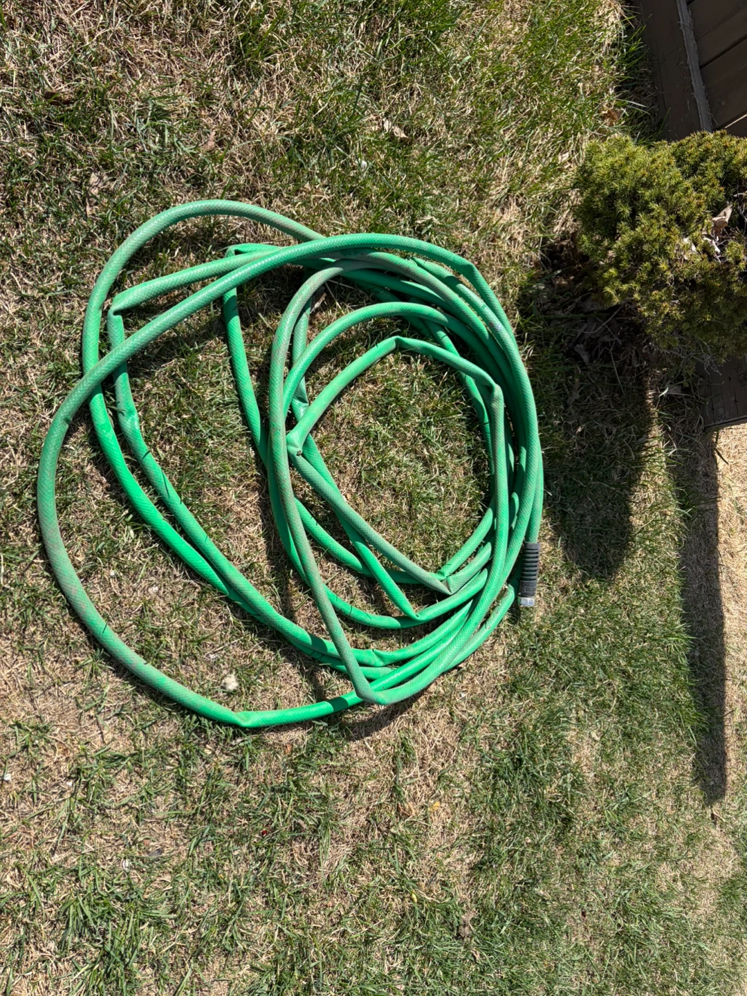 Green Garden Hose