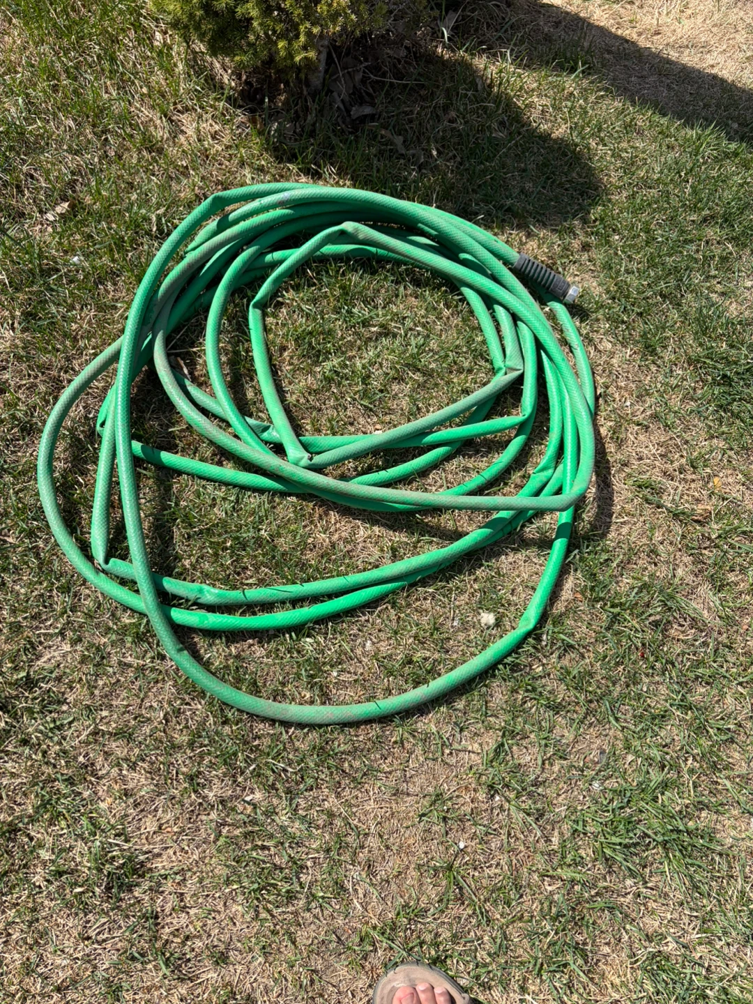 Green Garden Hose - photo 4