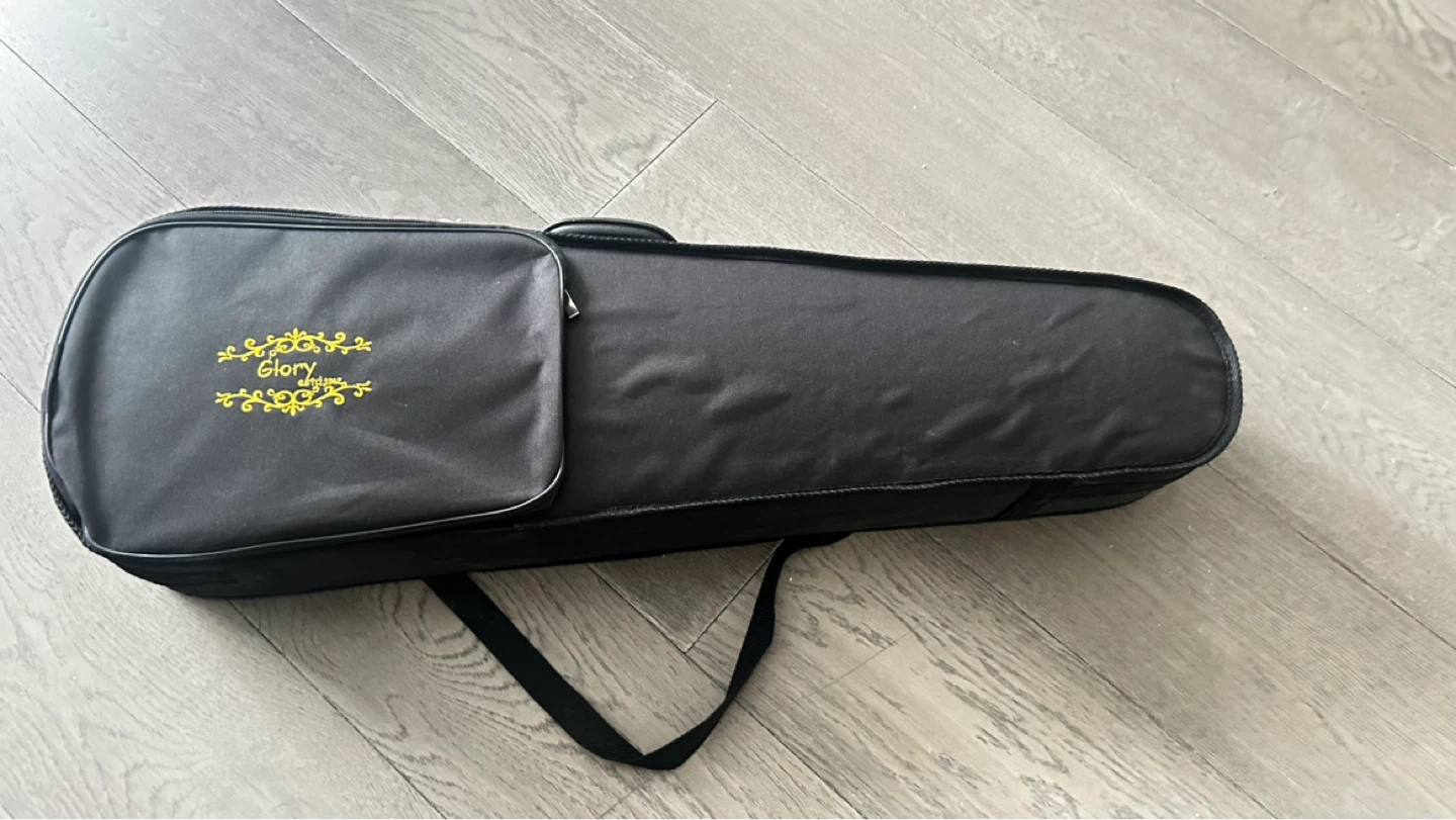 Glory Violin with Bow and Case - photo 4