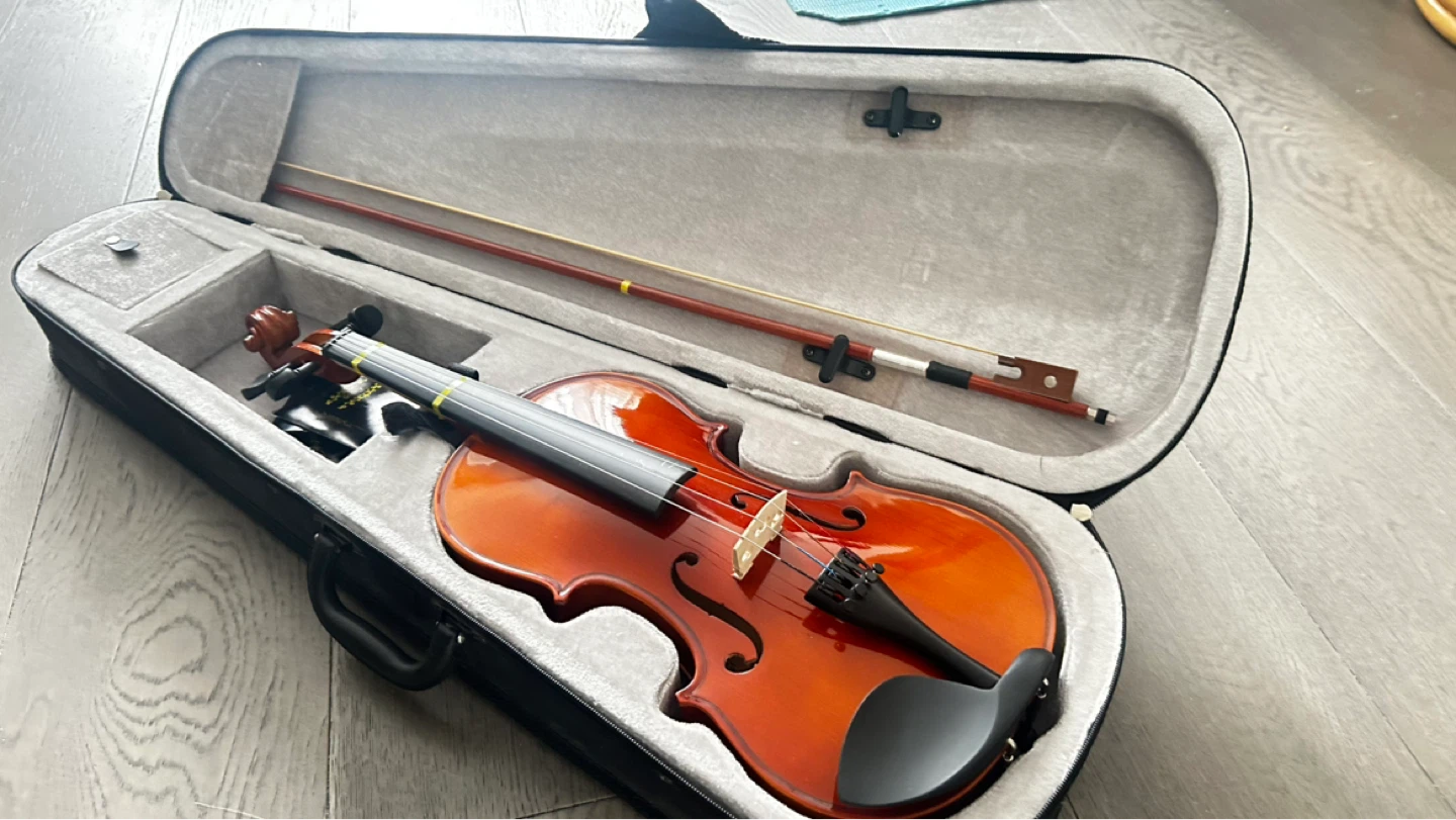Glory Violin with Bow and Case - photo 2