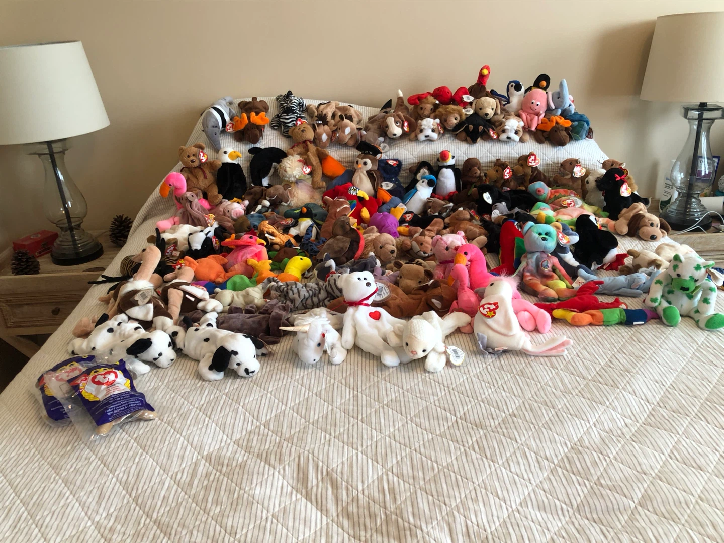 Collection of Ty Beanie Babies Stuffed Animals - photo 3