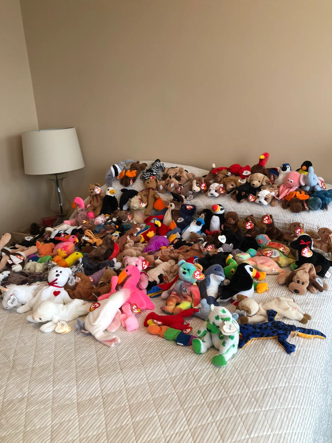 Collection of Ty Beanie Babies Stuffed Animals