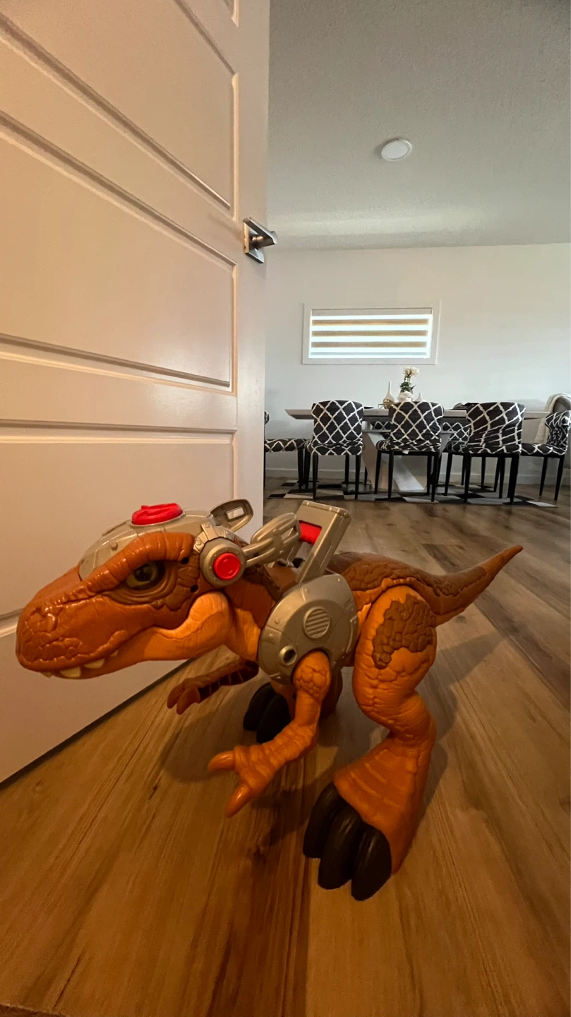 Dinosaur Toy