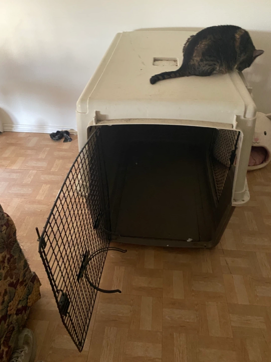 Pet Carrier Crate for Large Dogs