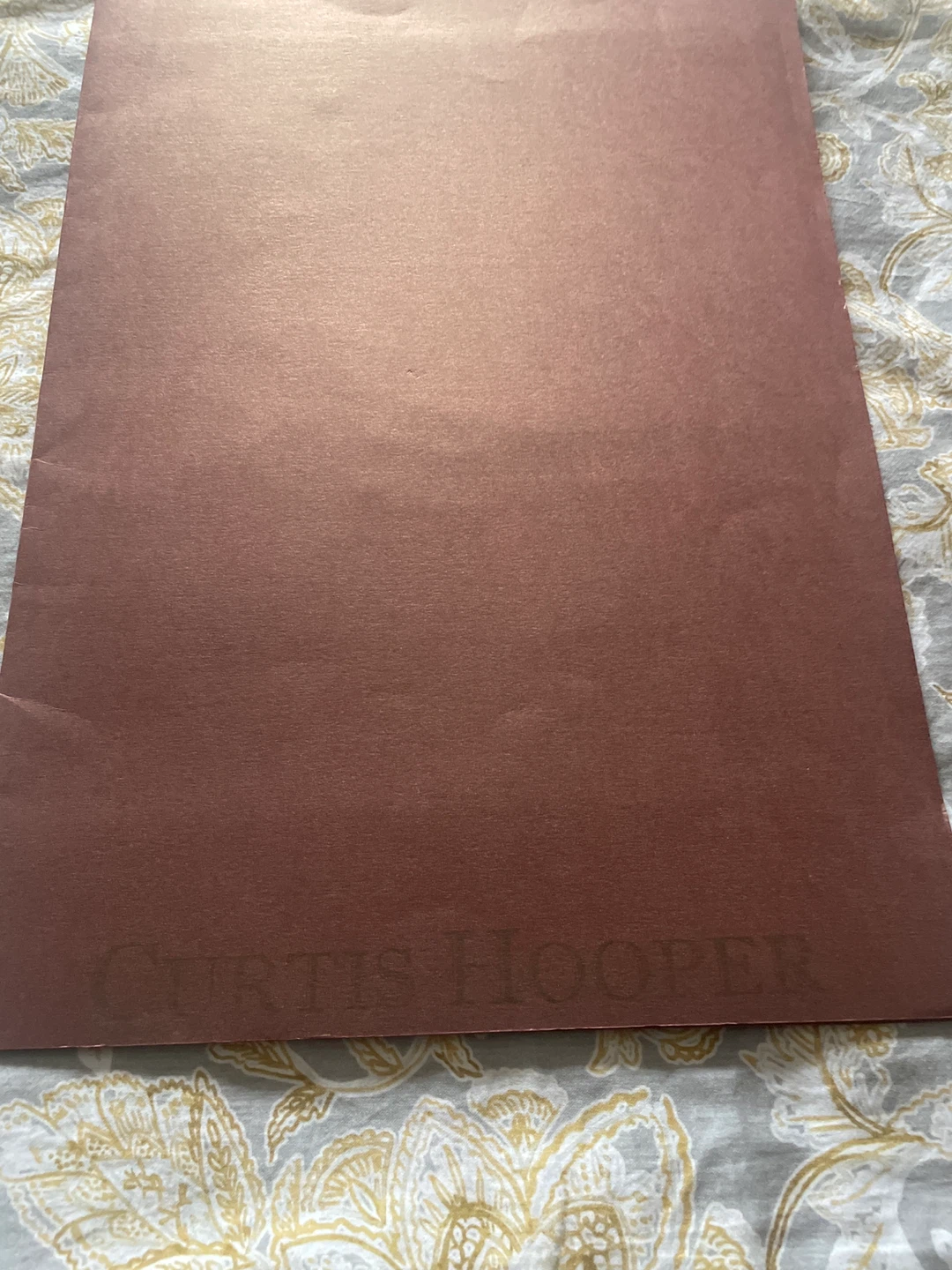 Curtis Hooper Gandhi Portrait Print - photo 3