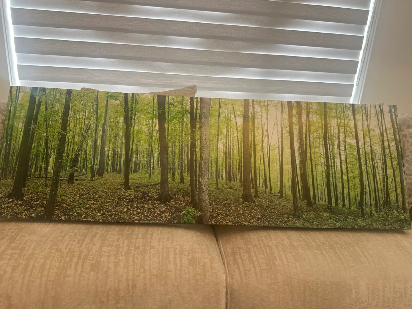 Canvas Wall Art - Forest Scene - photo 3