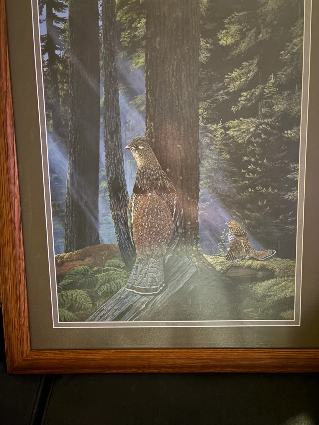 Framed Wildlife Art Print - Ruffed Grouse