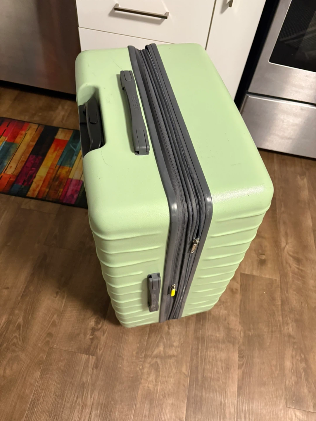 Delsey Light Green Suitcase (size large) - photo 3
