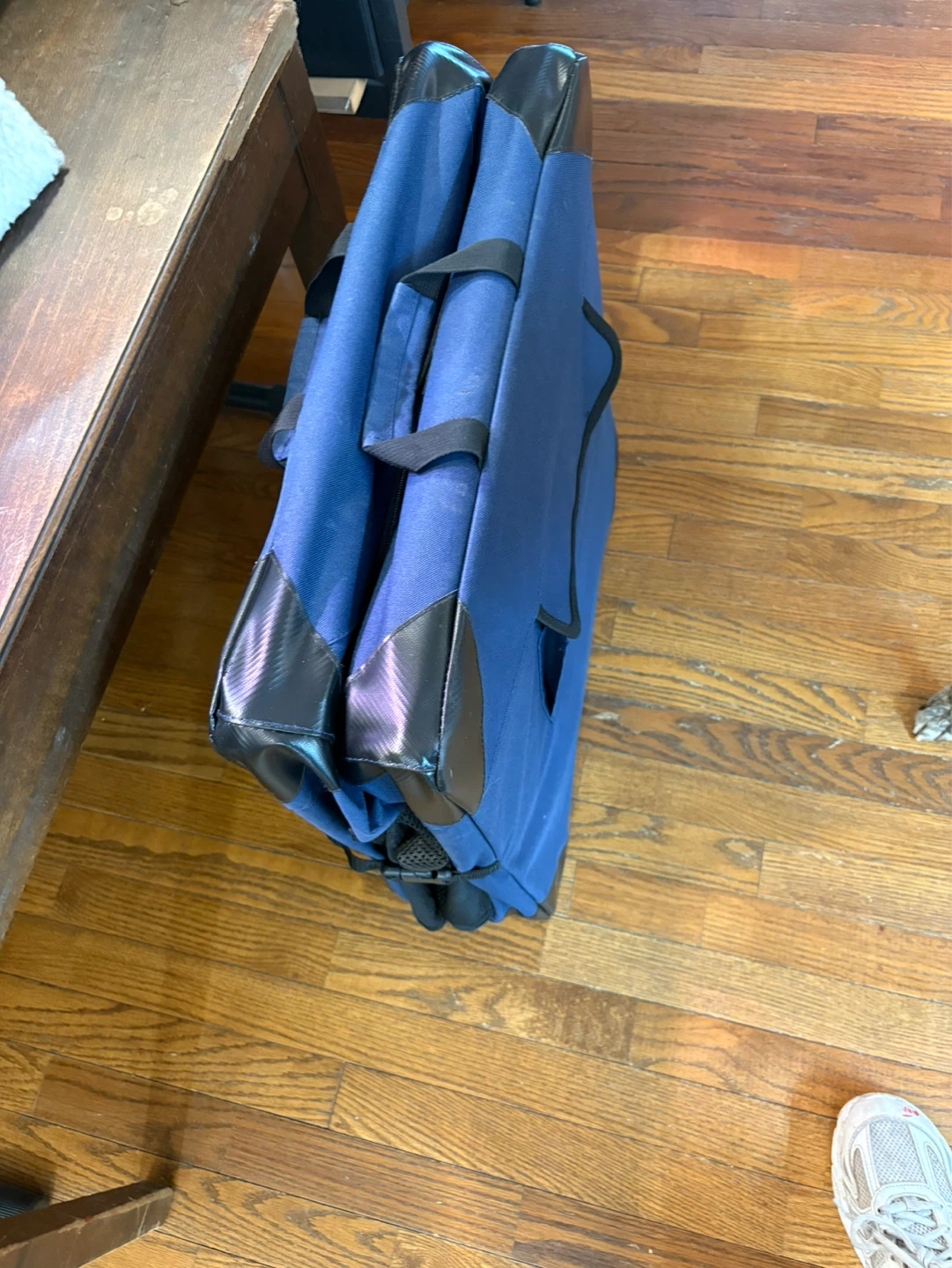 Blue Soft-Sided Pet Carrier Crate