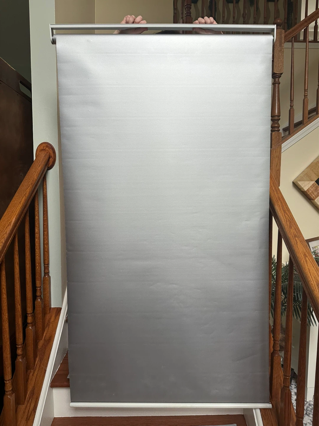 Silver Roller Shade with Hardware - photo 2