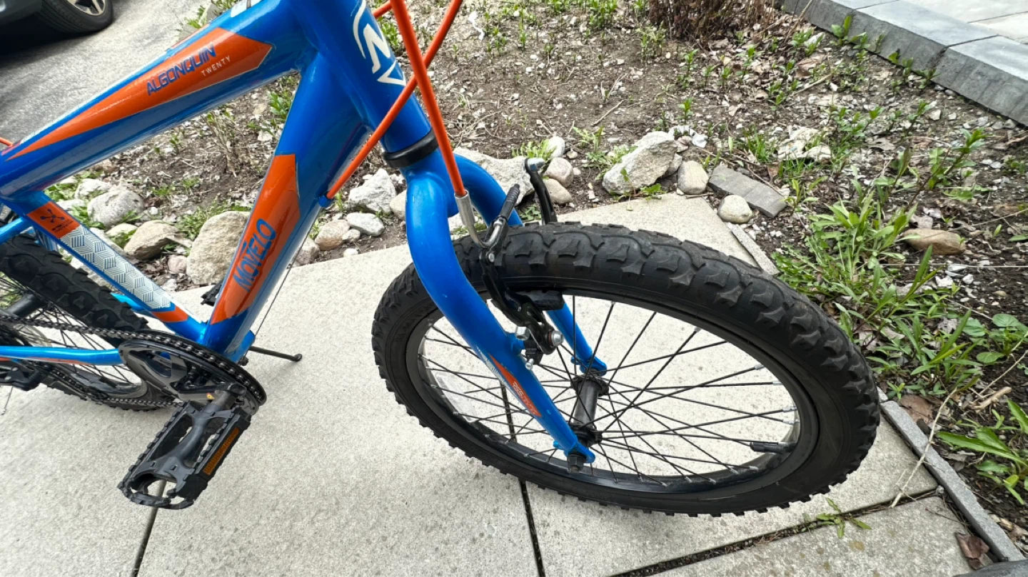 Moneko "Algonquin" 20" Kids Bike - photo 4