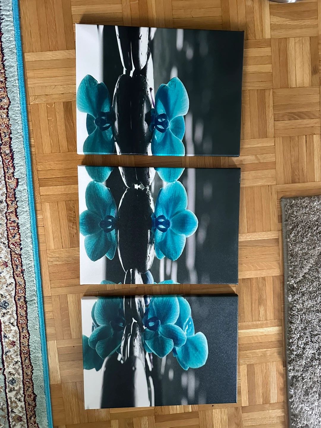 Set of 3 Canvas Prints - Blue Orchids