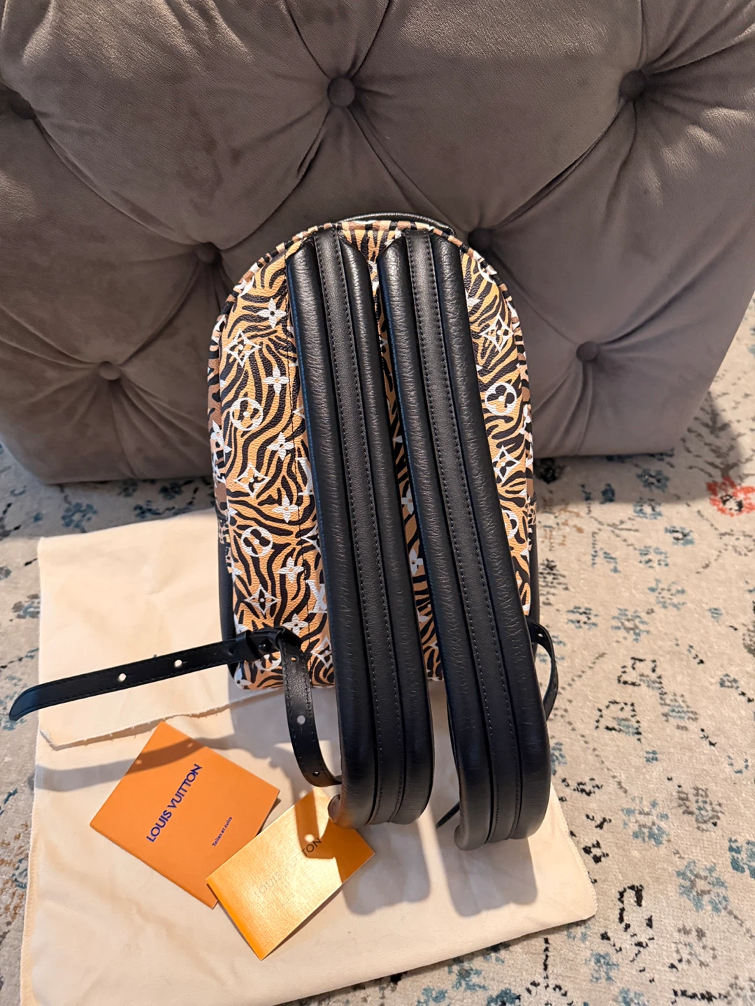 Louis Vuitton Monogram Tiger Leopard Mini Backpack - photo 2