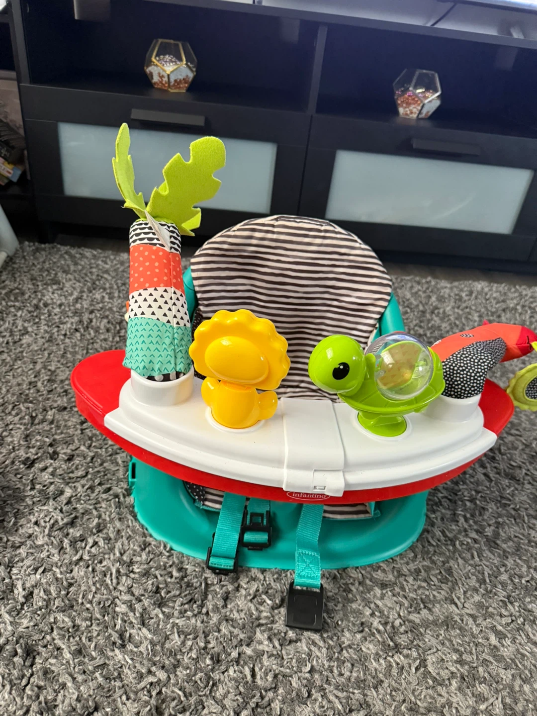 Fisher-Price Infant-to-Toddler Rocker - photo 4