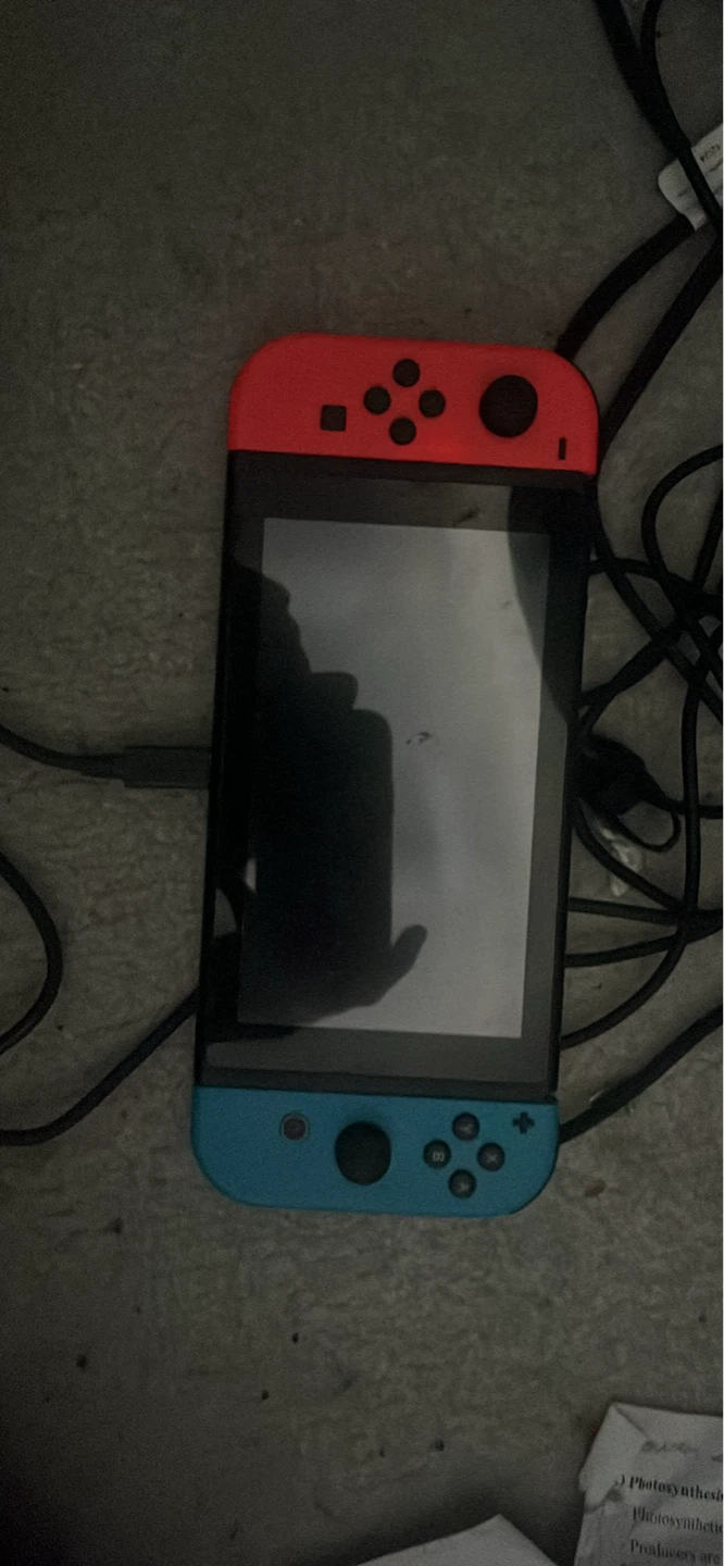 Nintendo switch