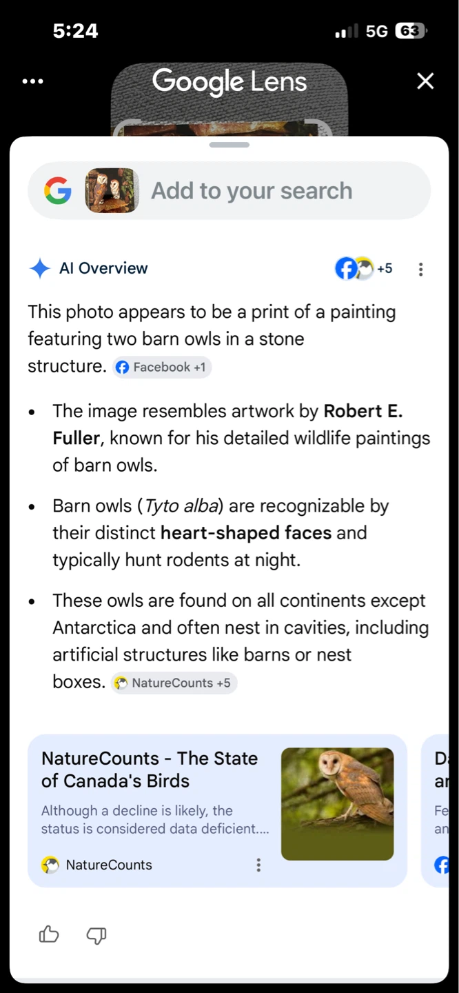 Limited edition Barn 🦉 owl  Postcard - photo 2