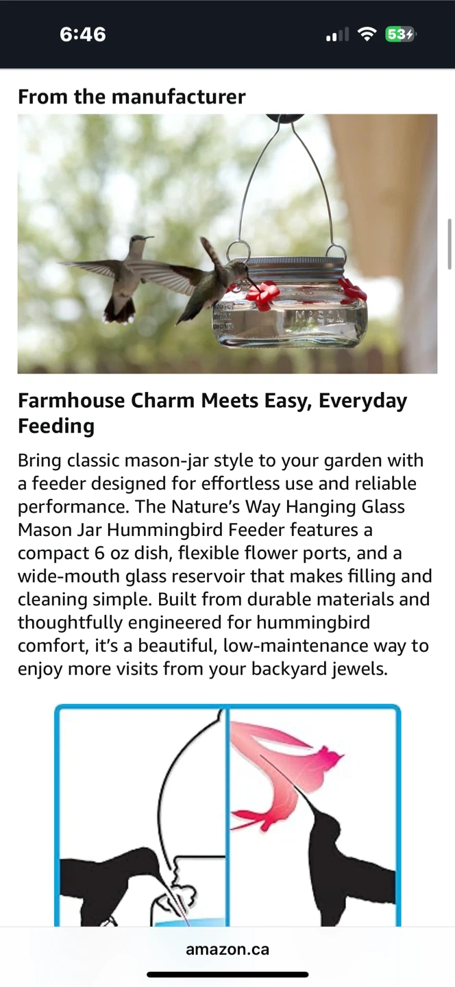 Nature's Way Glass Jar Hanging Hummingbird Feeder, 6 oz. - photo 3