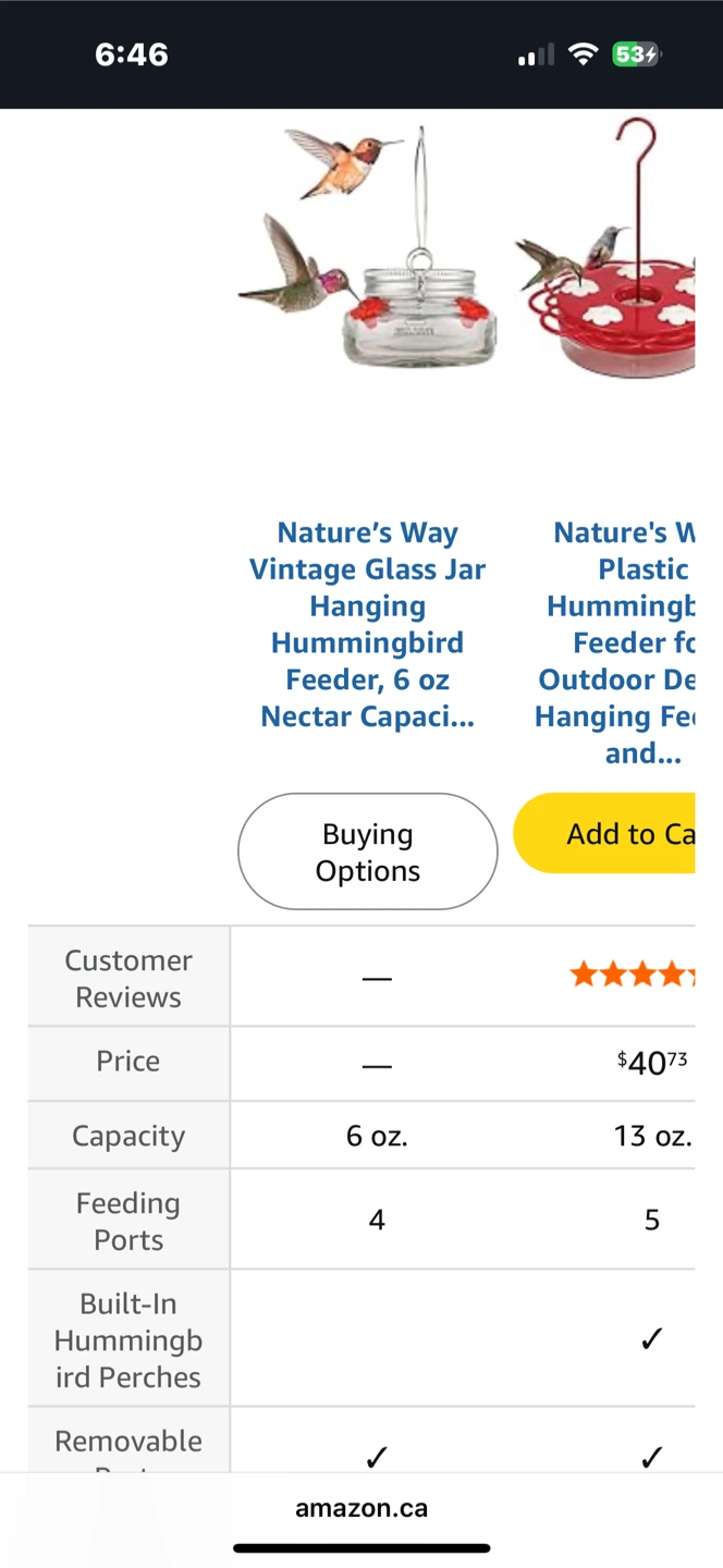 Nature's Way Glass Jar Hanging Hummingbird Feeder, 6 oz. - photo 5