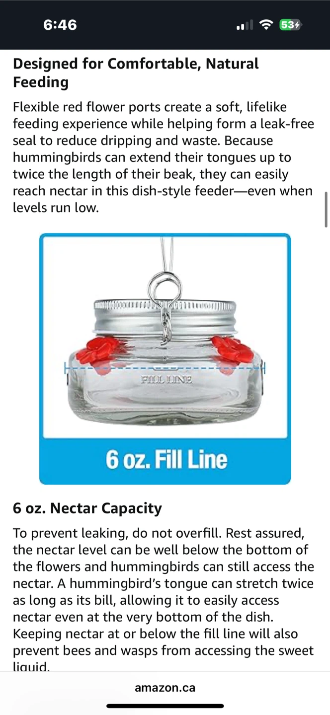 Nature's Way Glass Jar Hanging Hummingbird Feeder, 6 oz. - photo 4