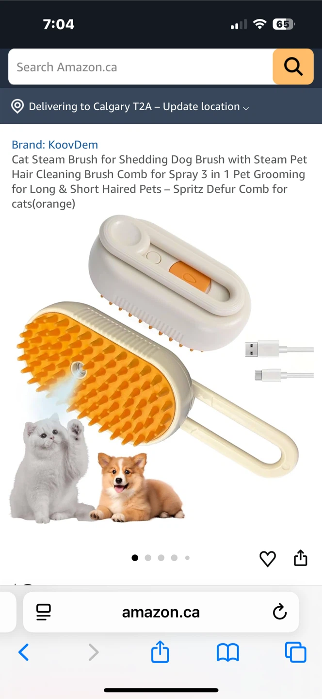 KooDem Cat Steam Brush - Orange