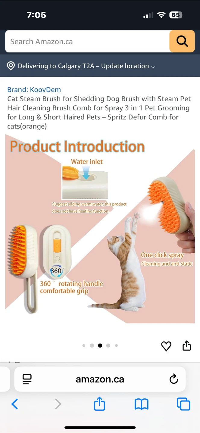 KooDem Cat Steam Brush - Orange - photo 3