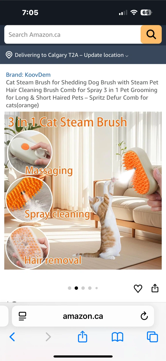 KooDem Cat Steam Brush - Orange - photo 2