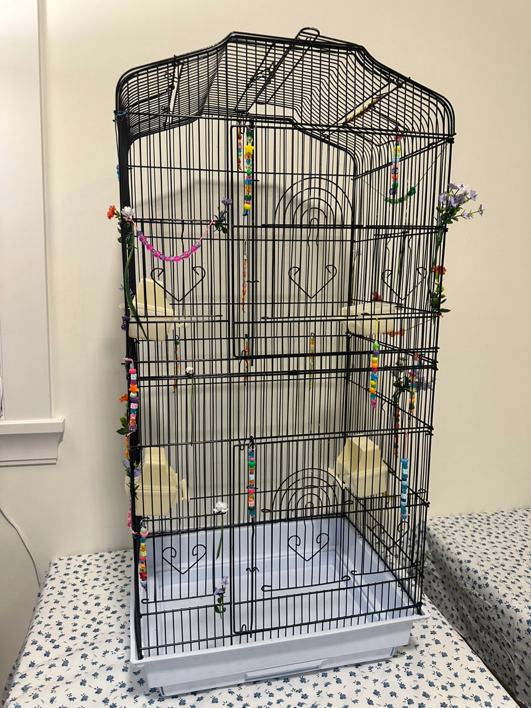 Black Bird Cage with Accessories