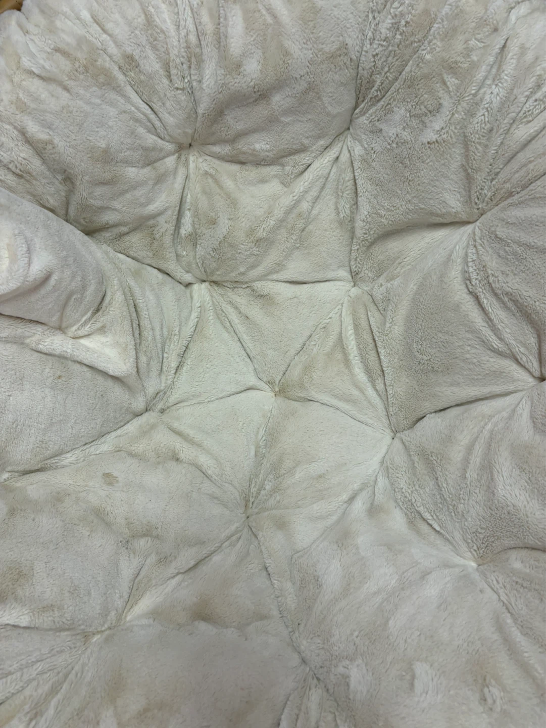 Pier 1 Imports Rattan Papasan Chair with Cream Cushion - photo 5