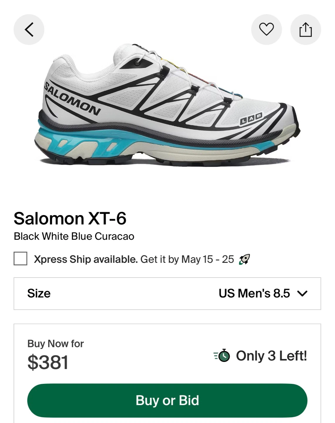 Limited Edition Salomon XT-6 Trail Running Shoes