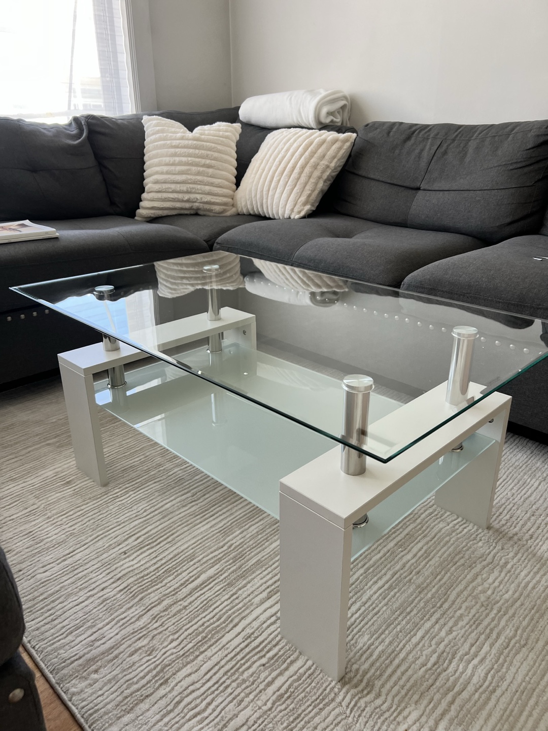 Modern Glass Coffee Table with Frosted Shelf